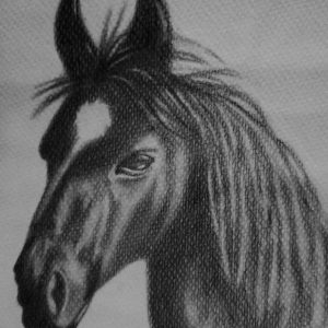 WhatsApp Image 2023-03-24 at 4.00.27 PM