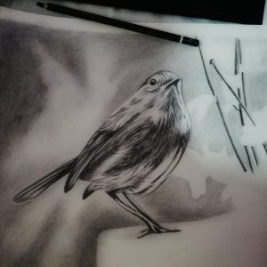 WhatsApp Image 2023-03-24 at 4.00.28 PM