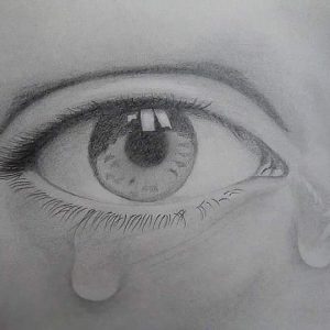 WhatsApp Image 2023-03-28 at 12.19.11 PM